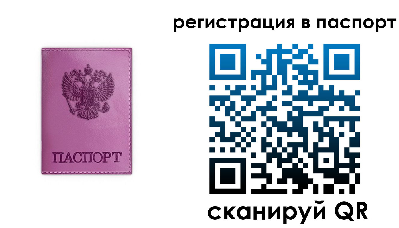 прописка 2025 в Куртамыше